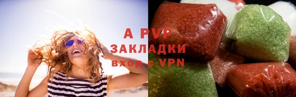 spice Аркадак