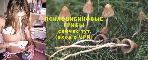 spice Аркадак