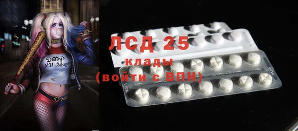 spice Аркадак