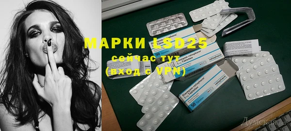 spice Аркадак