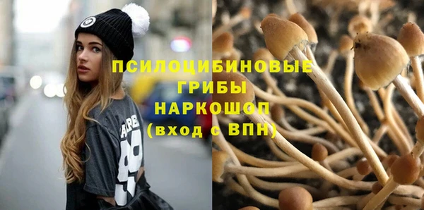 каннабис Арсеньев