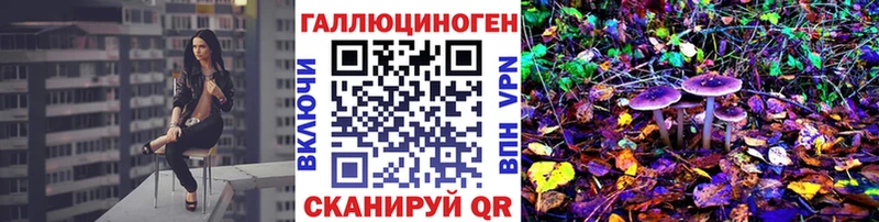 Псилоцибиновые грибы GOLDEN TEACHER Весьегонск